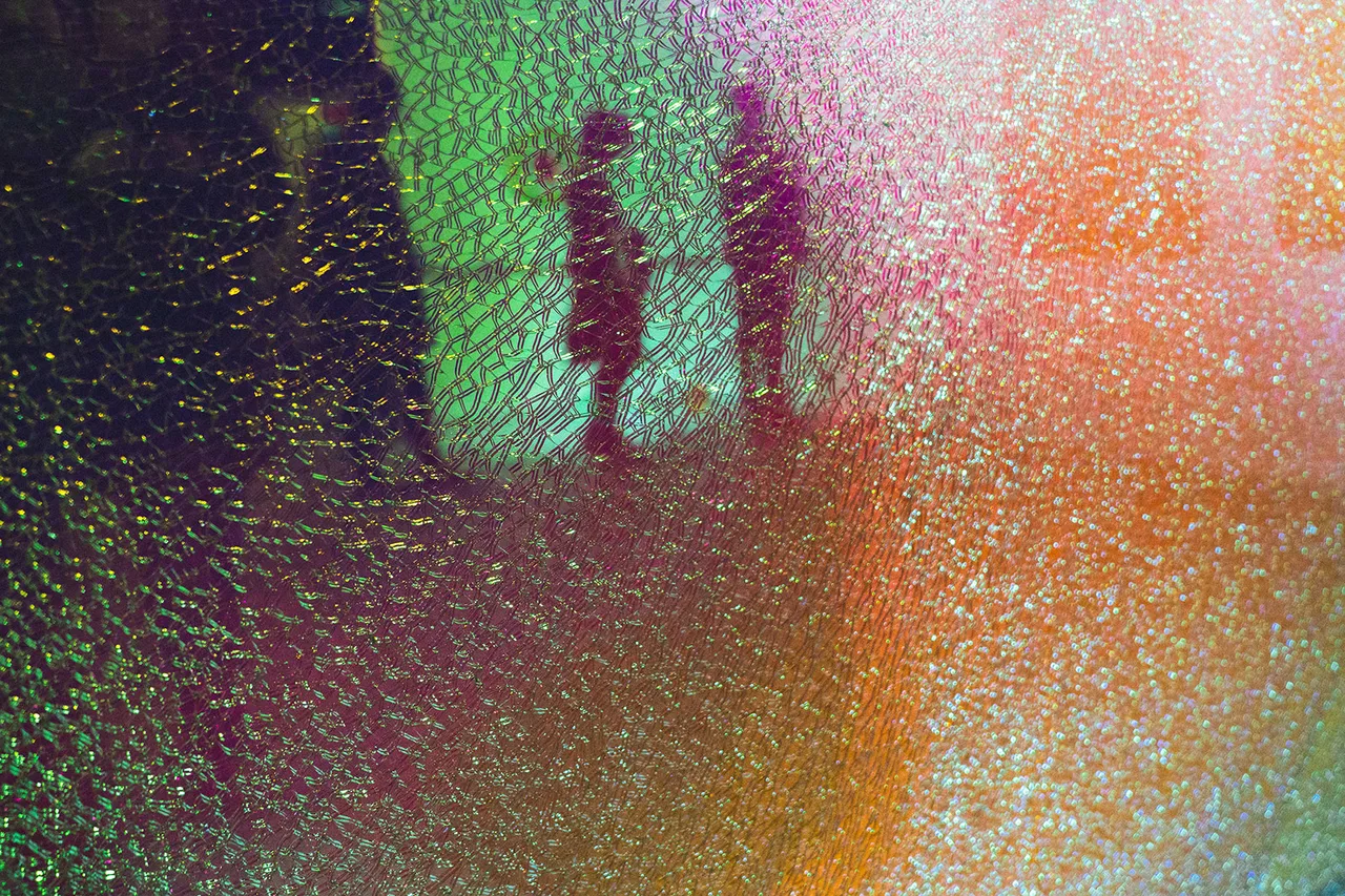 Ann Veronica Janssens