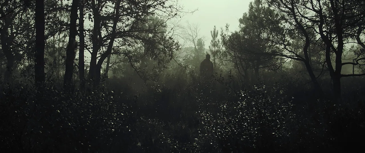Sotobosque Still 2.jpg