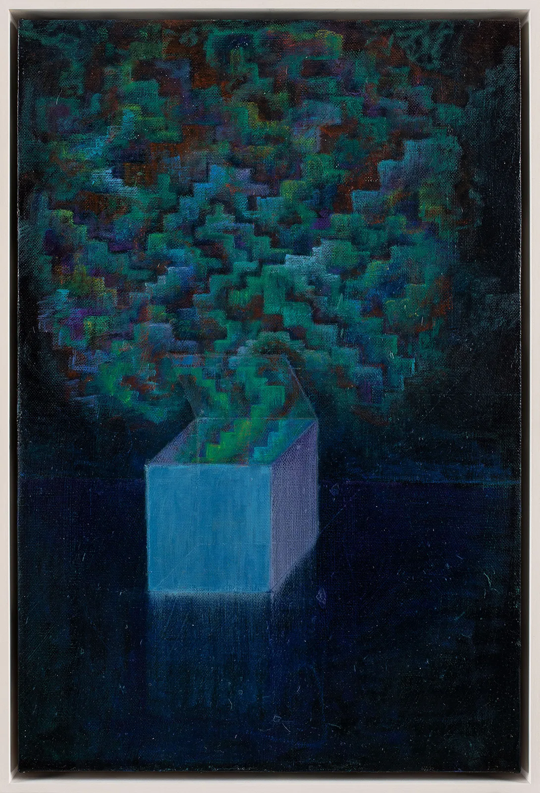 Dylan Solomon Kraus 12