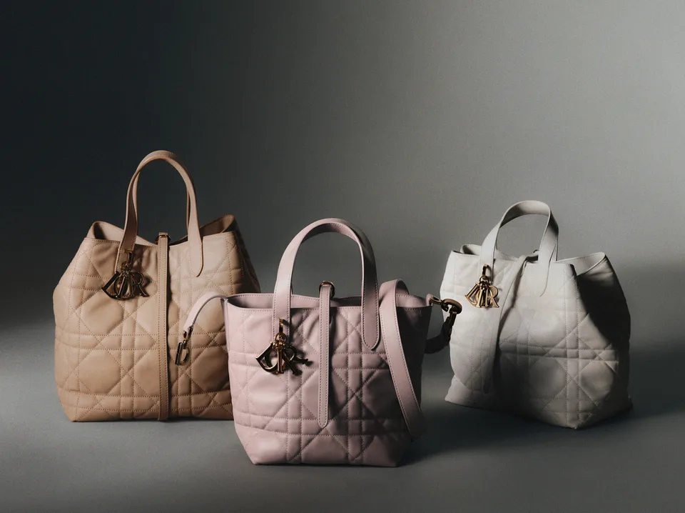 Dior Toujours Bag