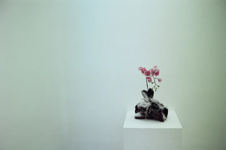 See Studio