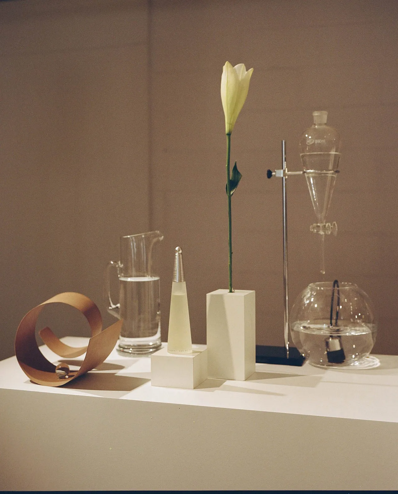 Issey Miyake Perfumes Wood Wood and Rose Rose Metalmagazine 6