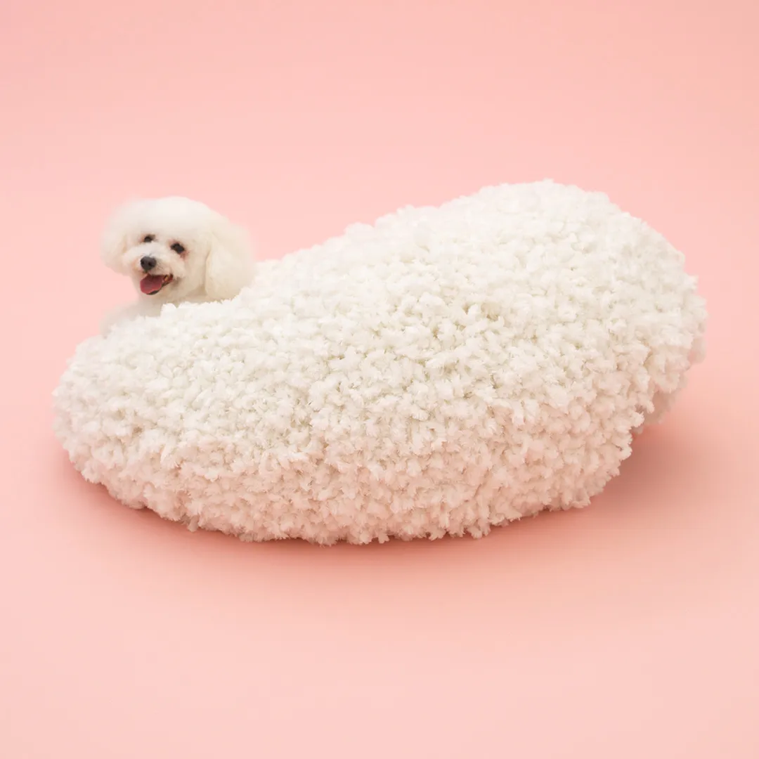 Architecture_for_Dogs_5
