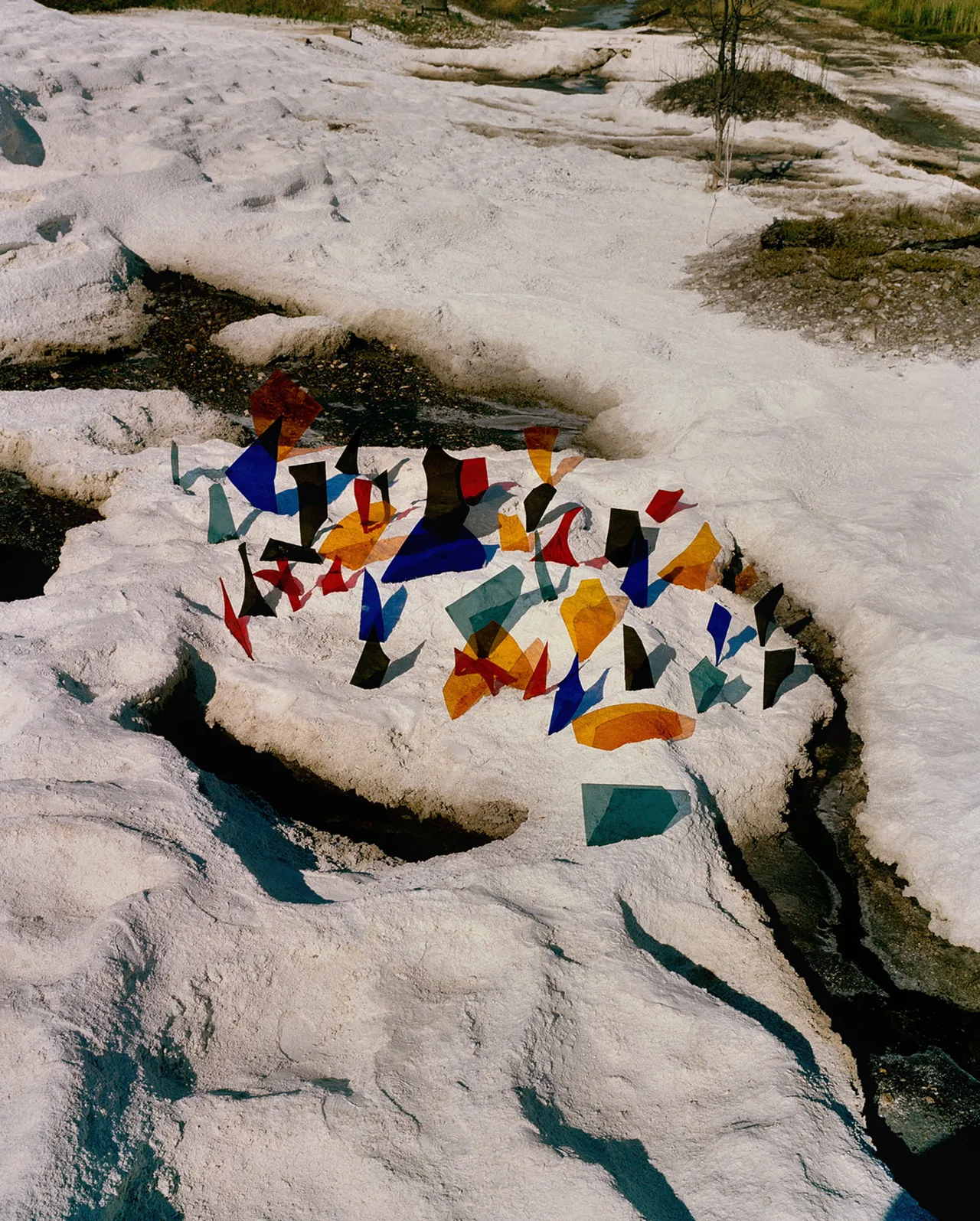 Synchrodogs Slightly Altered 10 Colored Glass