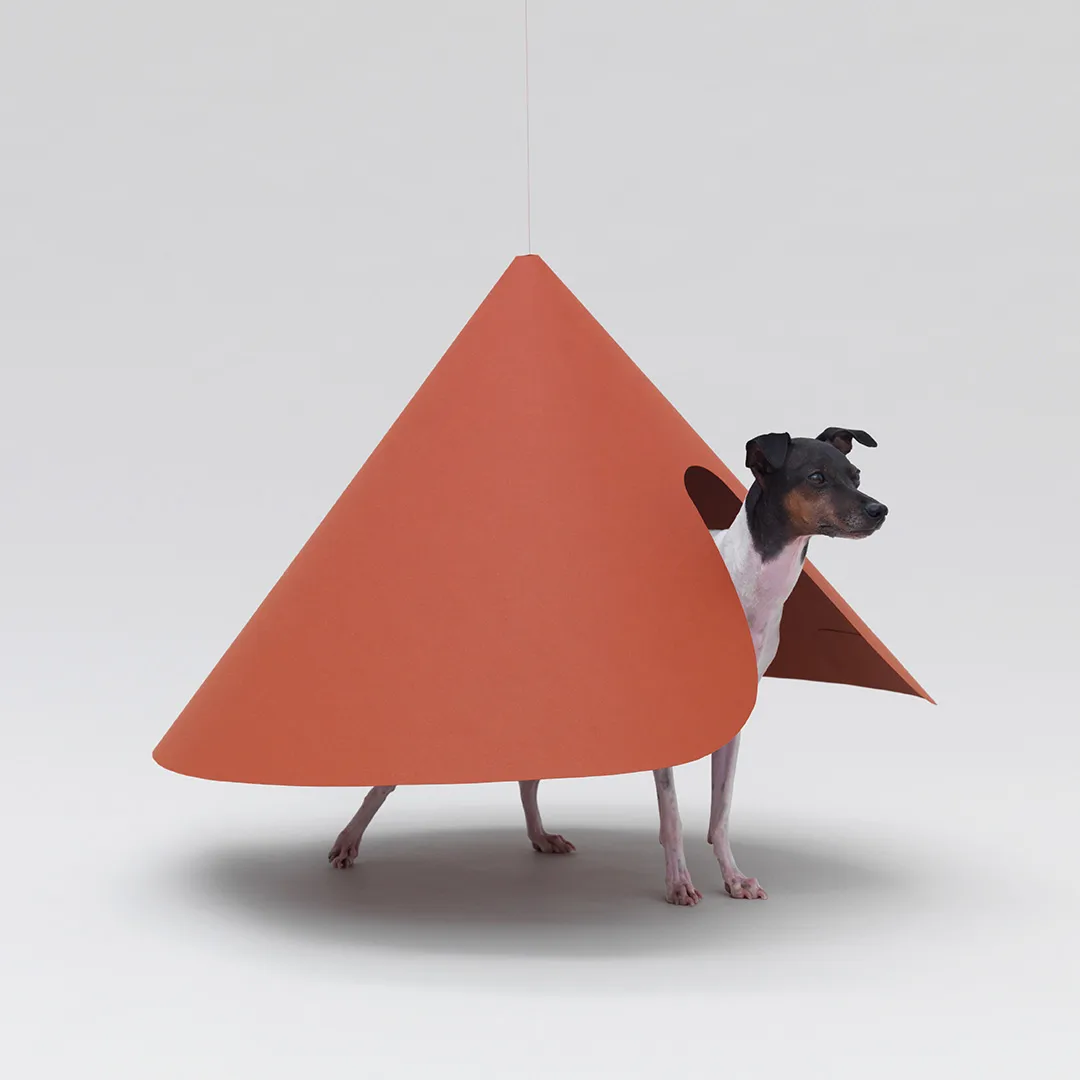 Architecture_for_Dogs_7