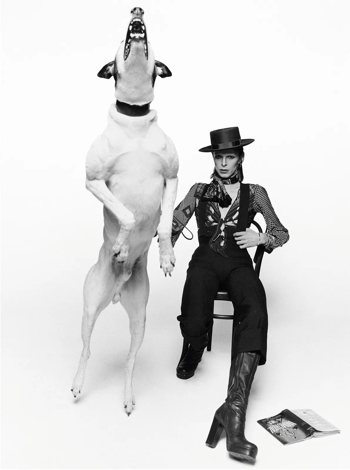 Terry O Neill  Fotografiska  5