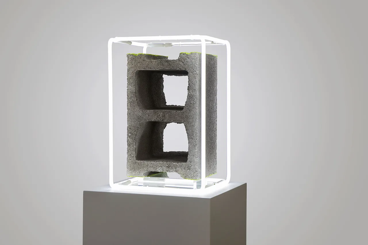 The Shapeof a City Nathaniel Rackowe 1