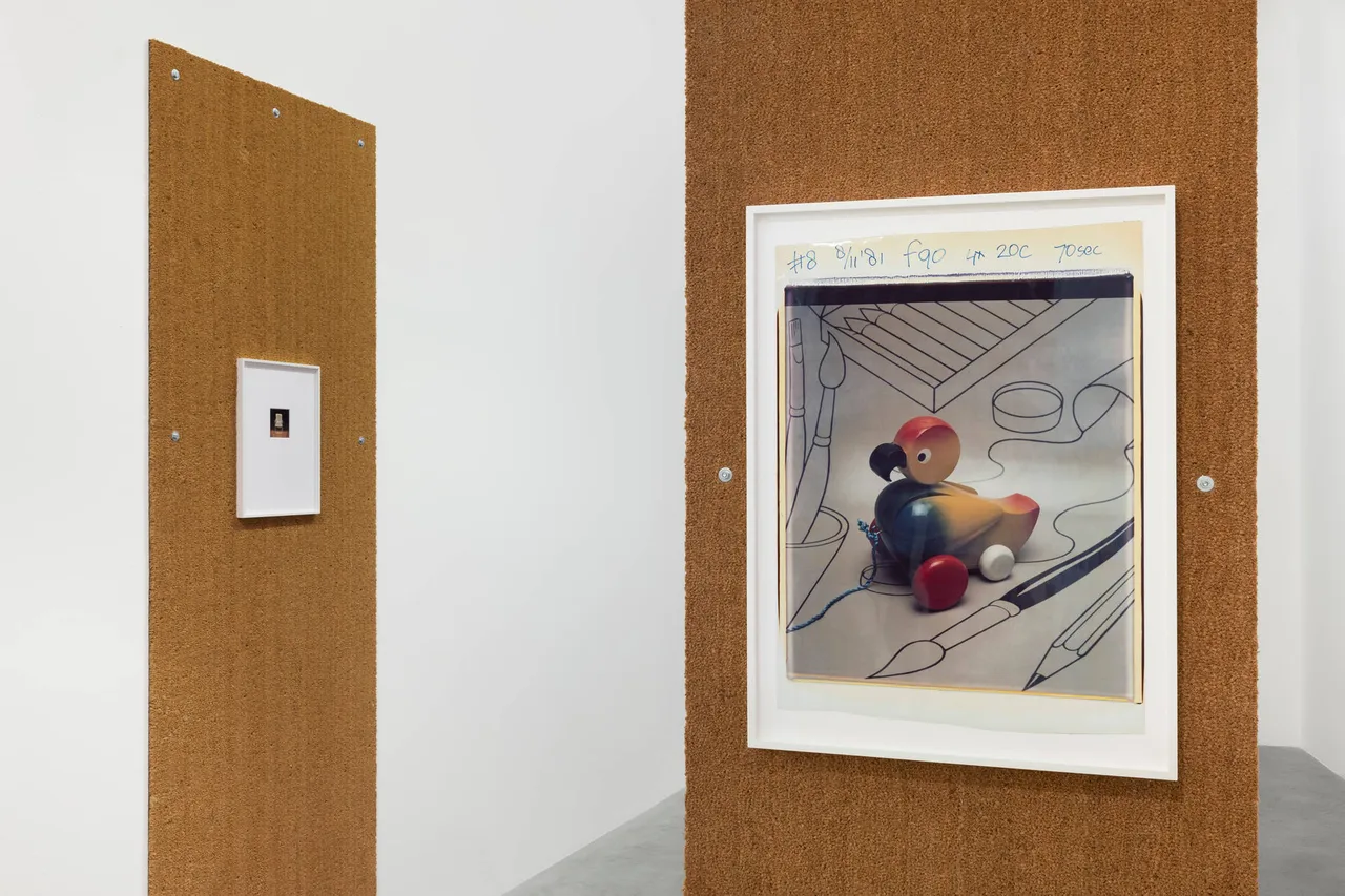 Centro Pecci Prato_ Luigi Ghirri-Polaroid 79-83_ ph Andrea Rossetti_02