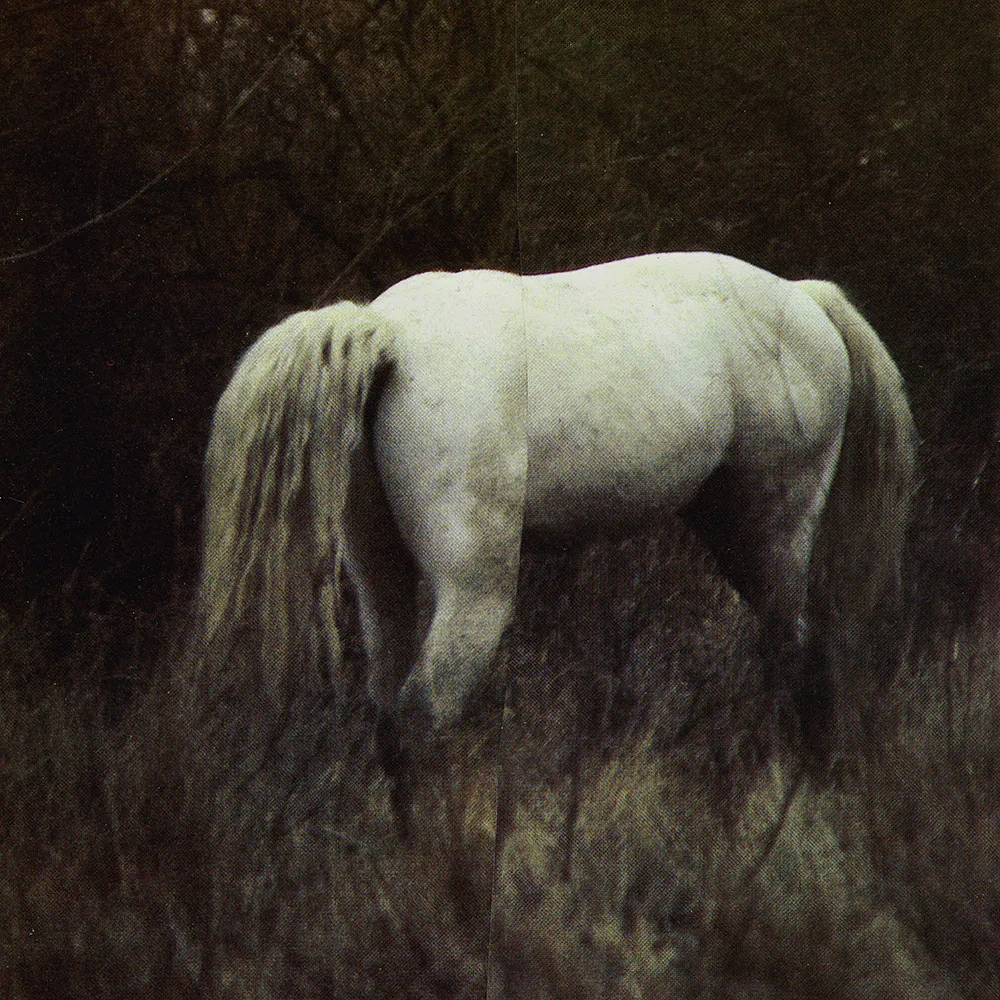 Mount.jpg