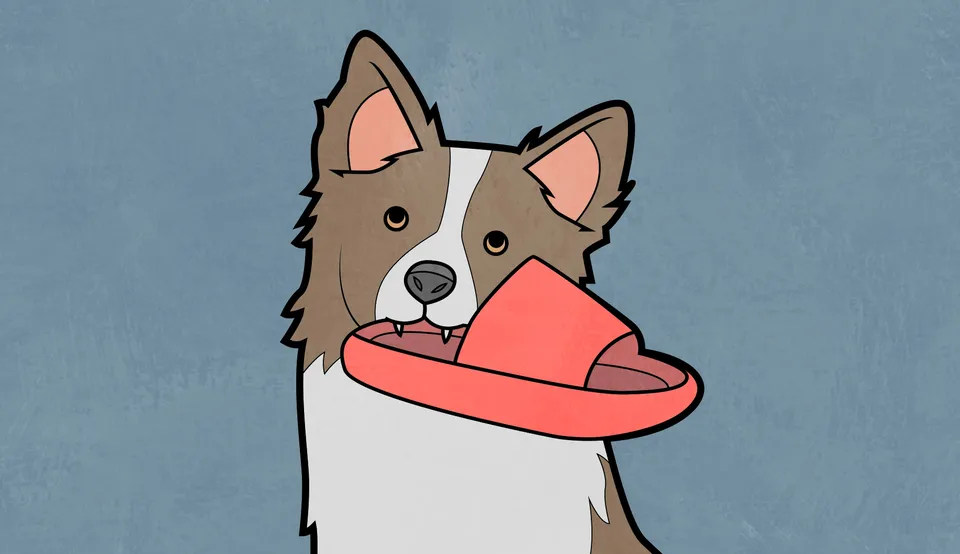 Anton Gudim