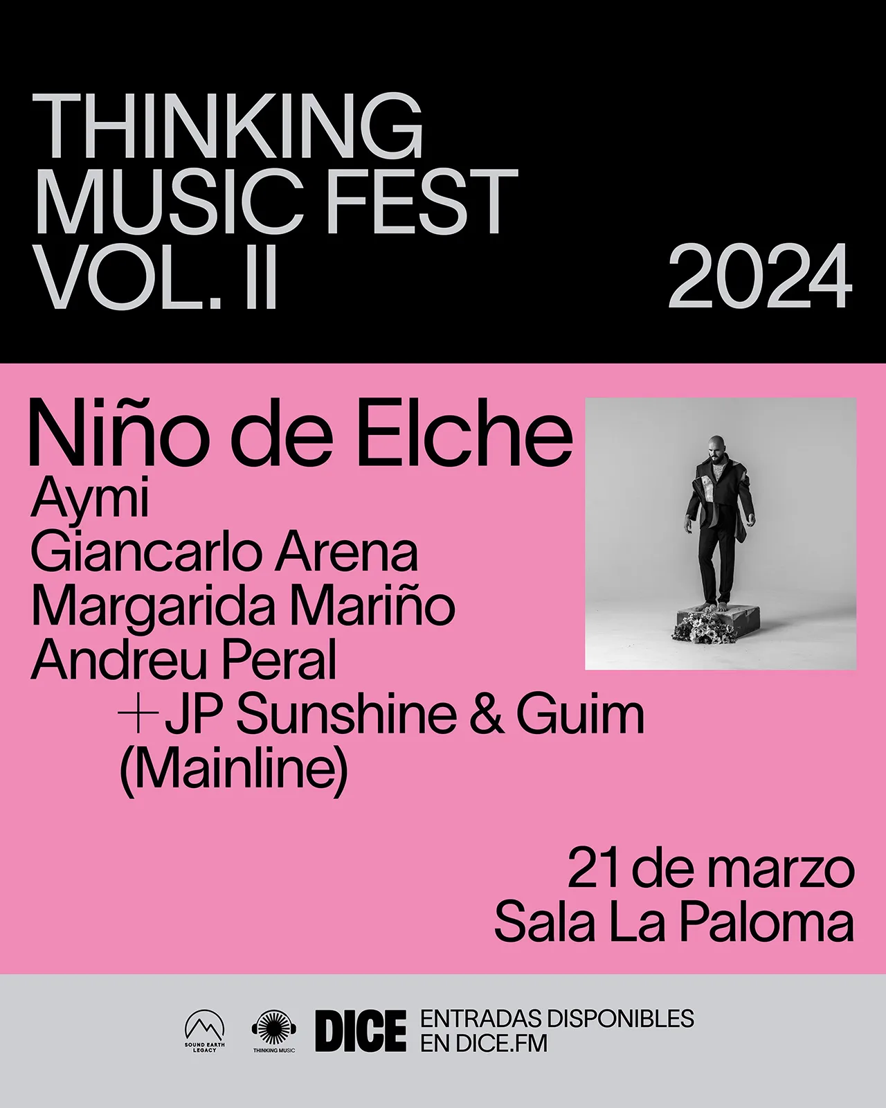 Thinking Music Festival