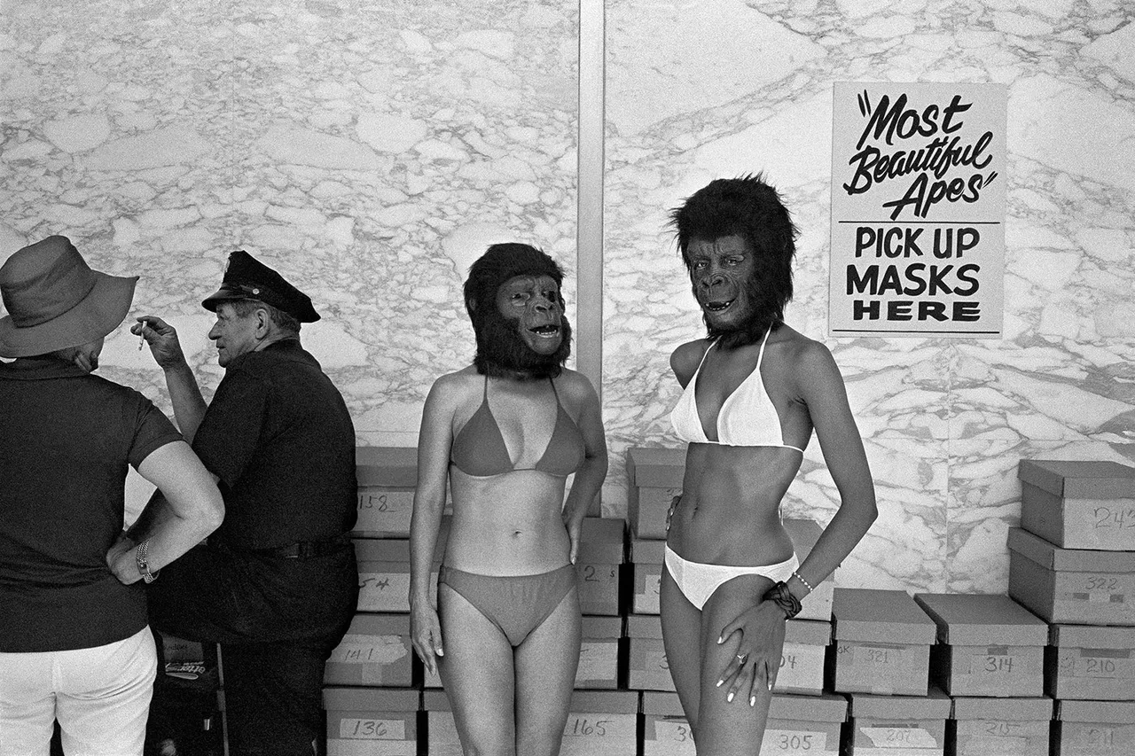 Michael Jang College Apes Beauty Contest Hires