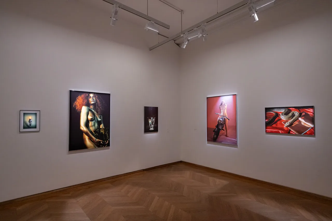metal-camille-vivier-exhibition-17