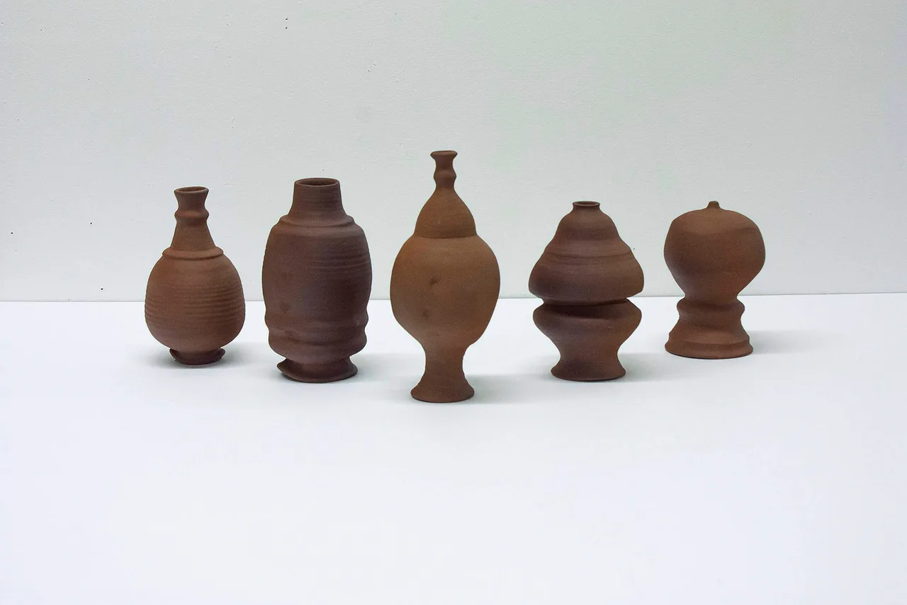 Babak Golkar_Screampots_2023-25