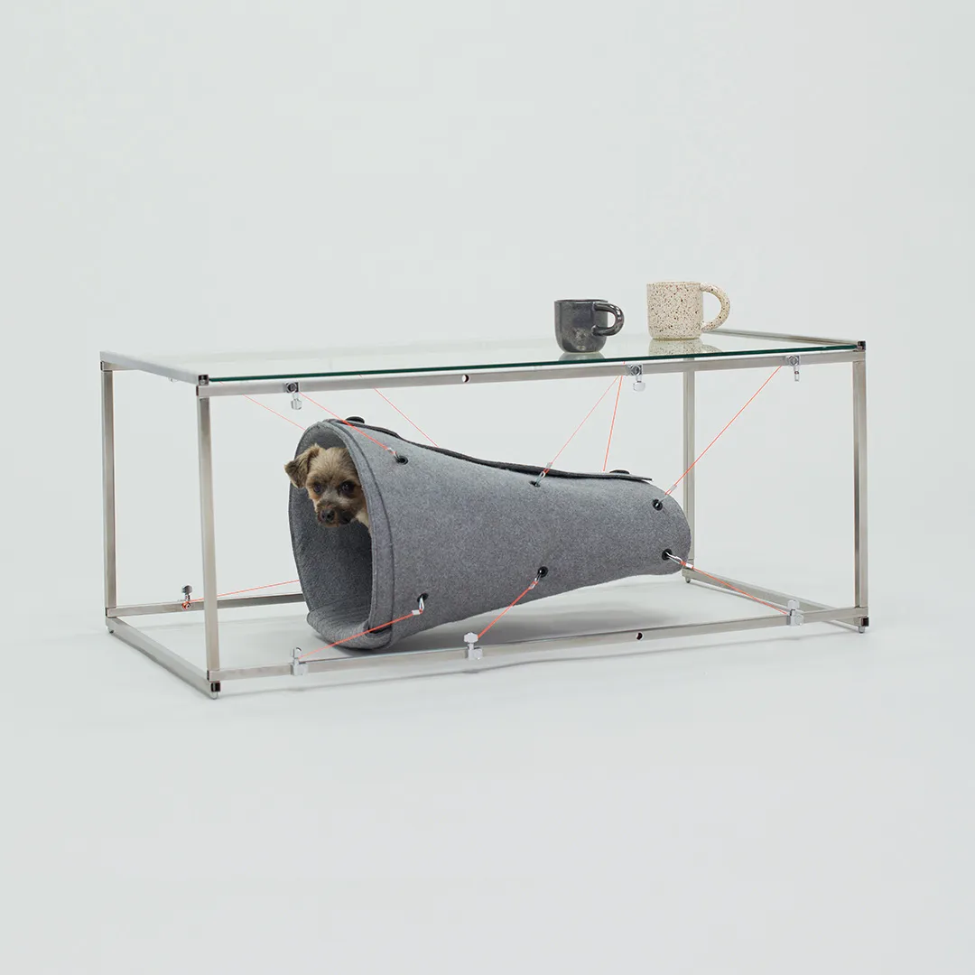 Architecture_for_Dogs_1