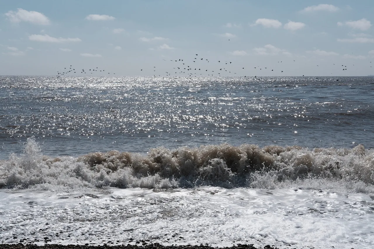 Afterness Landscape 168.jpg