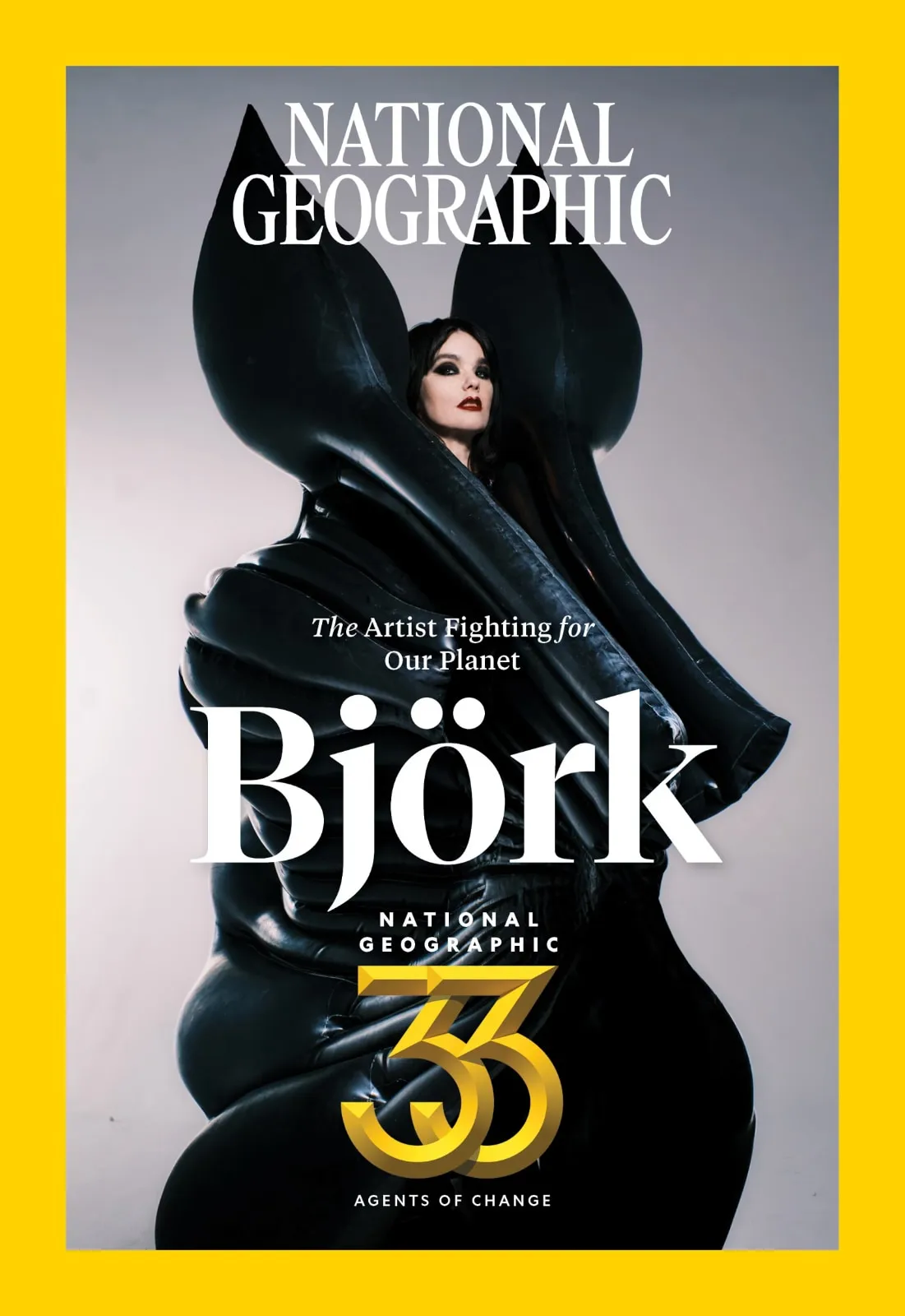 Bjorkcover