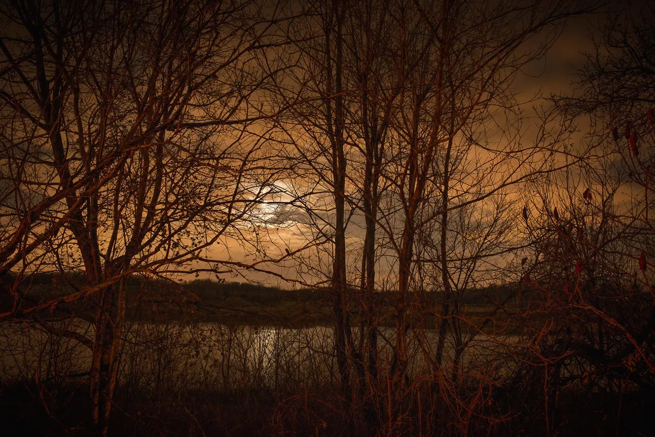 Todd Hido Metalmagazine 11
