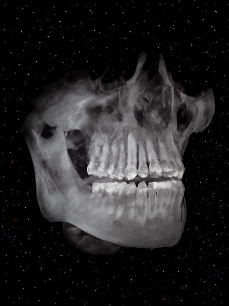 Nika-Sandler_A-History-of-Teeth_09