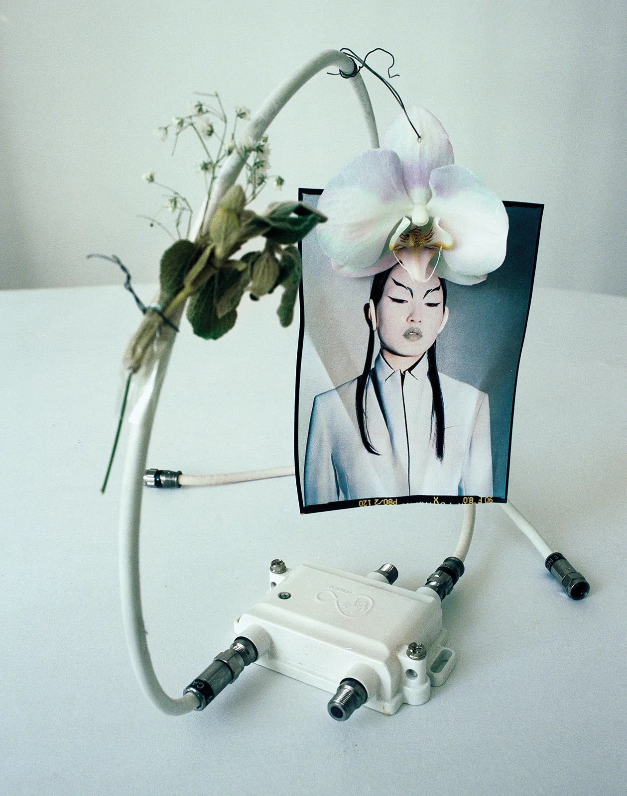 Teddy Iborra Metal Loewe Metalmagazine 13