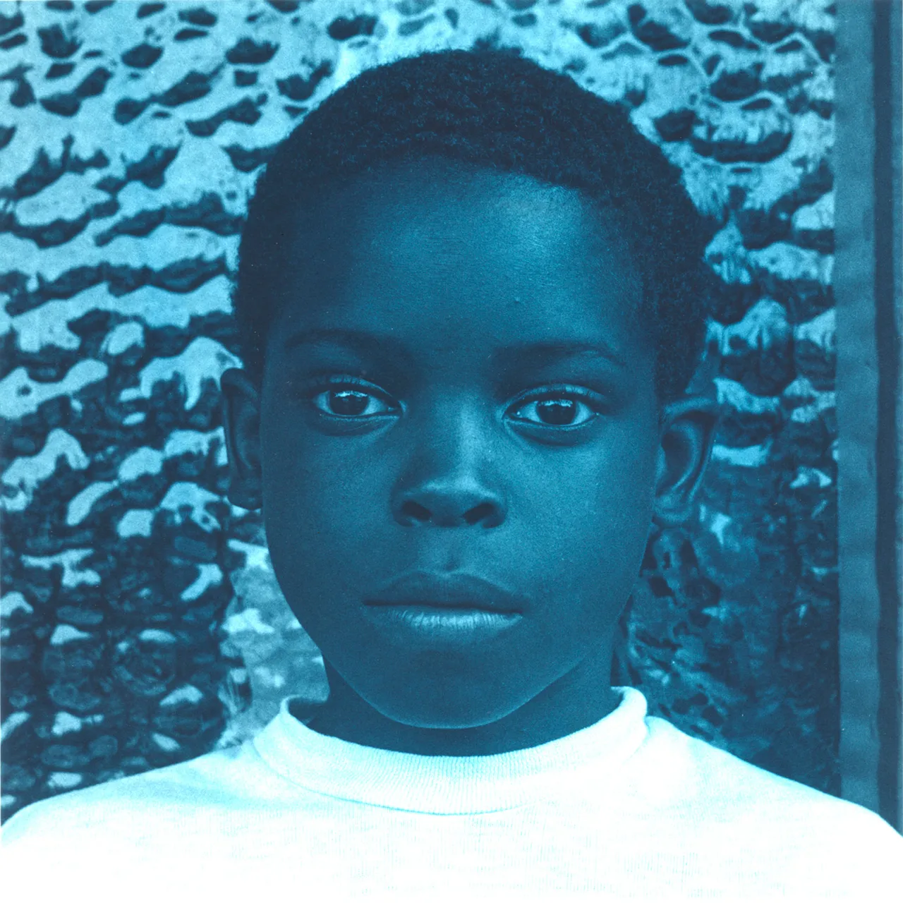 Carrie Mae Weems 8