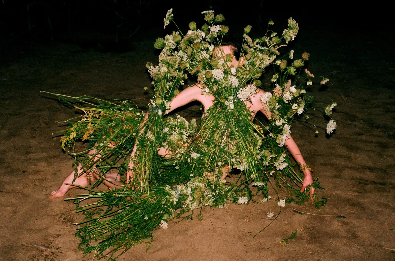 Synchrodogs Slightly Altered 24