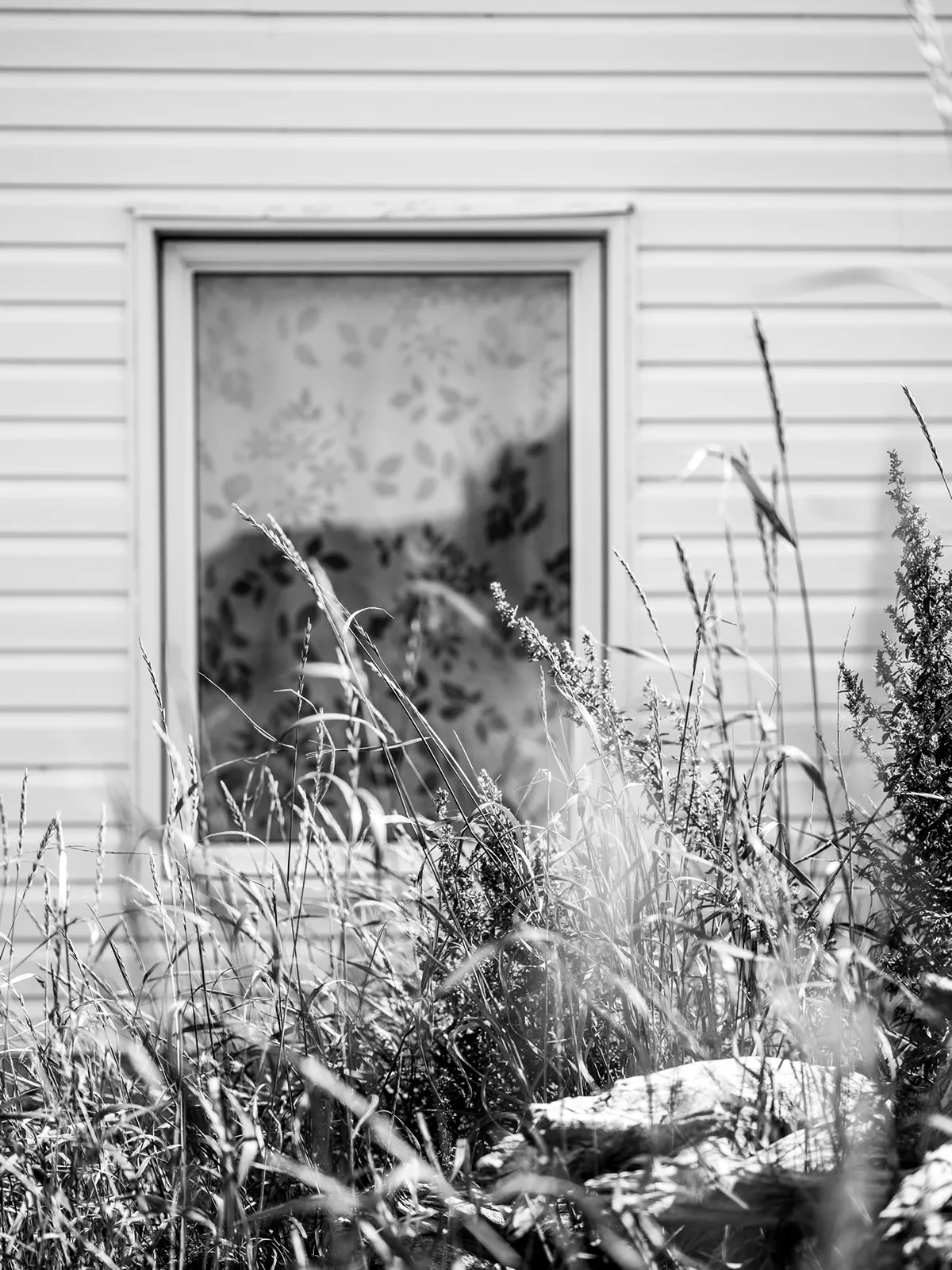 Maude-Arsenault_2