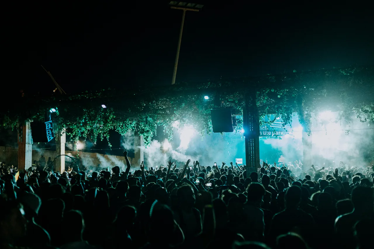 Brunc Electronik Festival 5