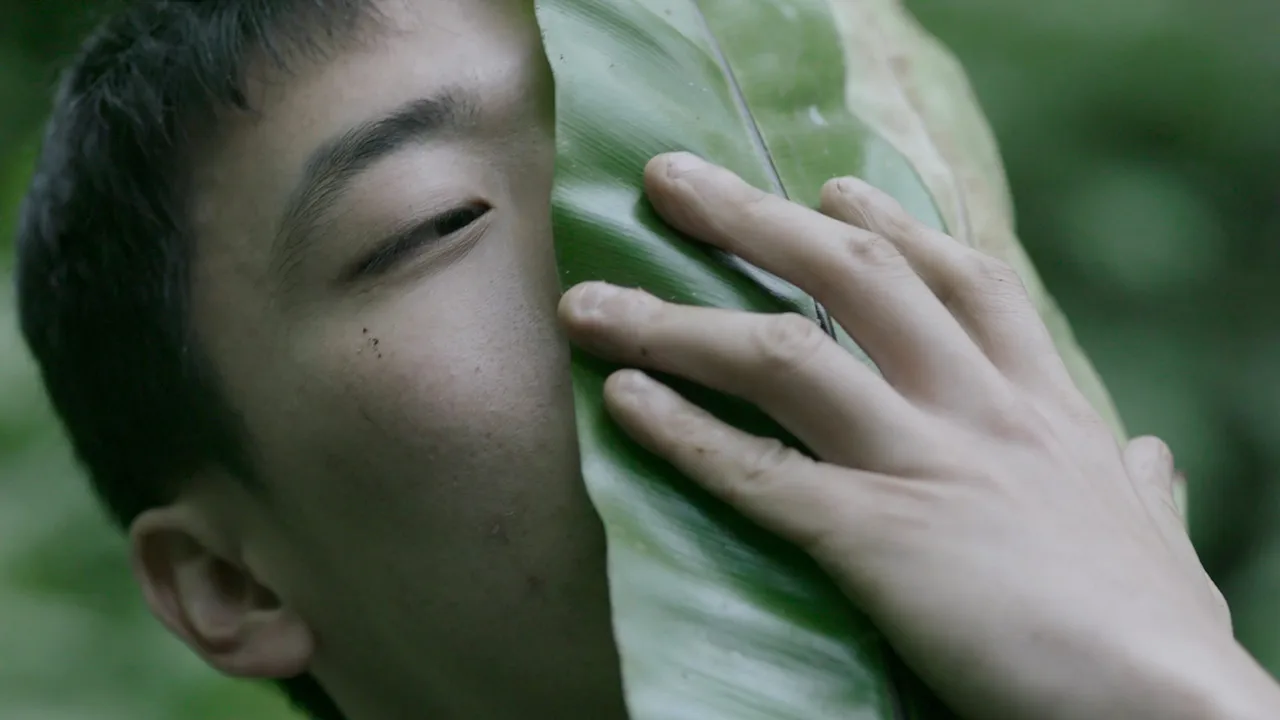 Zheng Bo.jpg