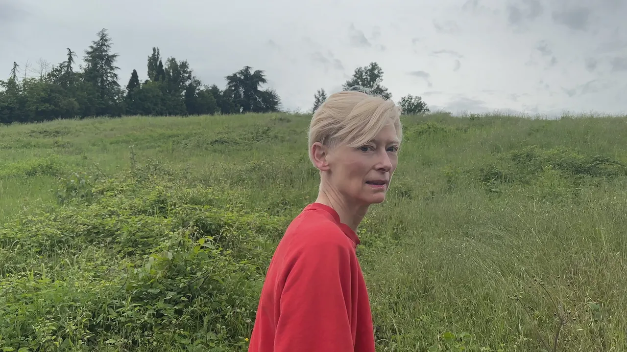 Luca-Guadagnino-Camaraderie-2025