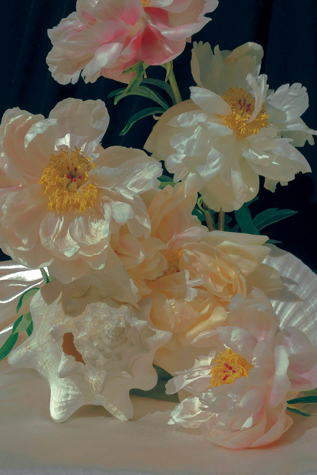 Xuebing-Du_18