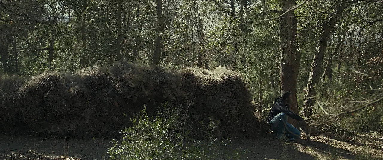 Sotobosque Still 9.jpg