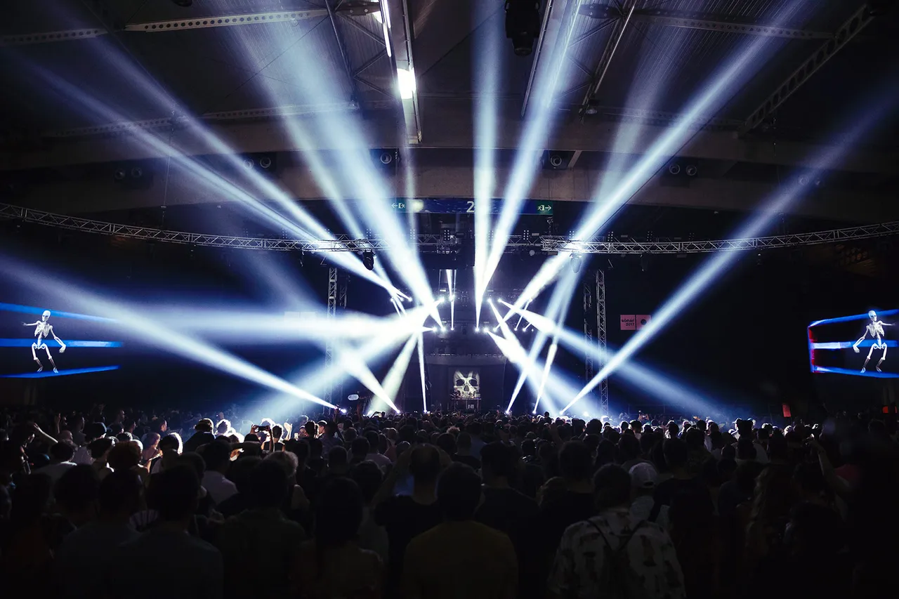 Dj Shadow001 by Nerea Coll   Baja