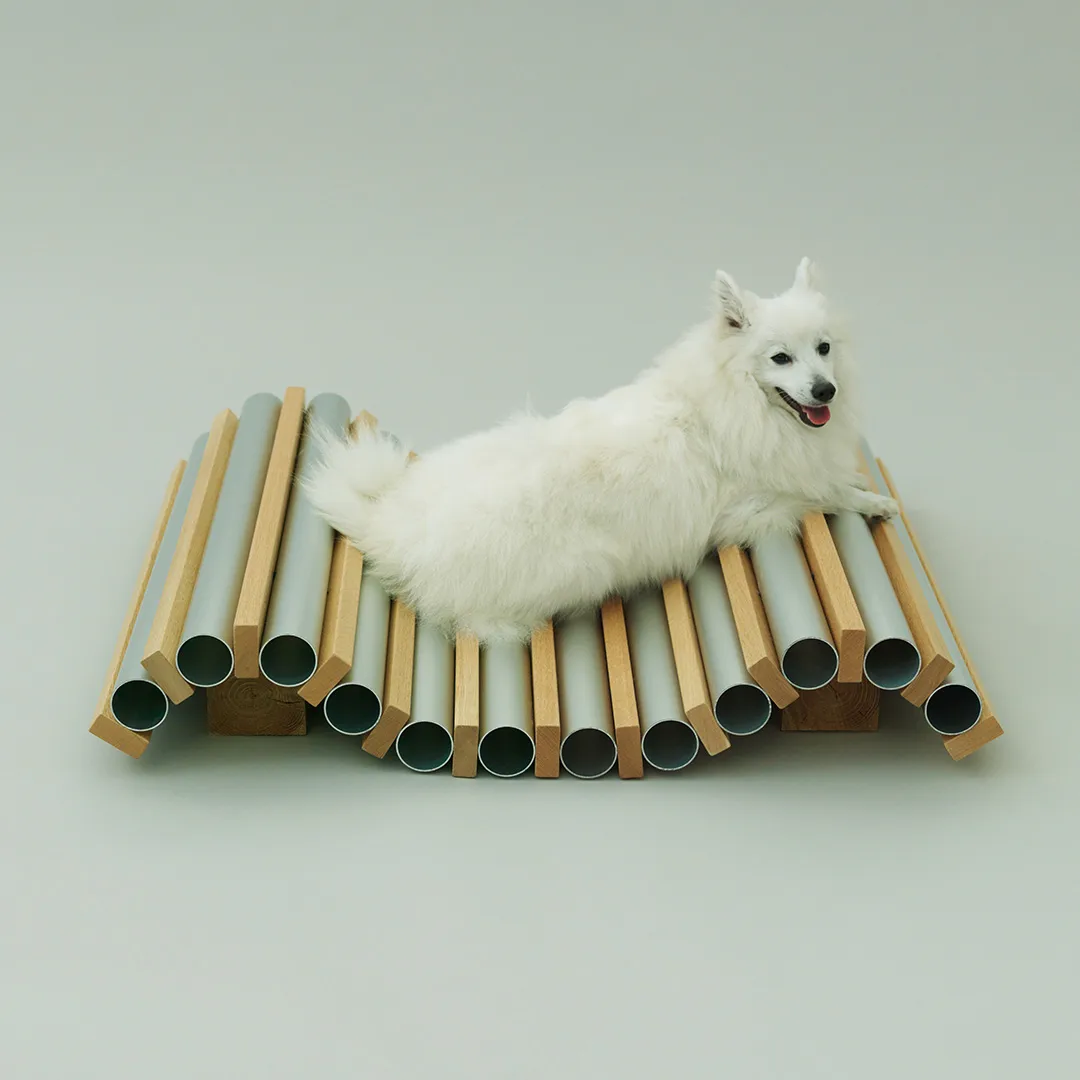 Architecture_for_Dogs_4