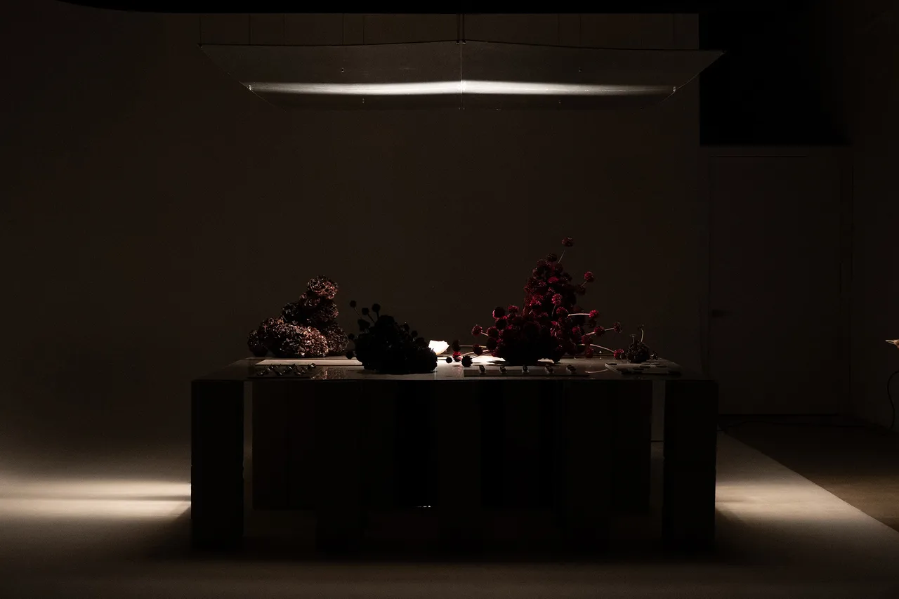 Lumin-Studio_1.jpg