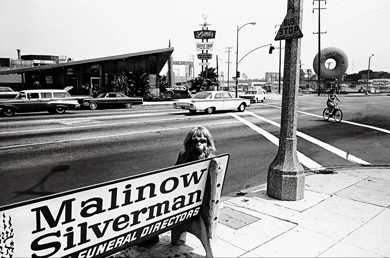 Dennis Stock 3