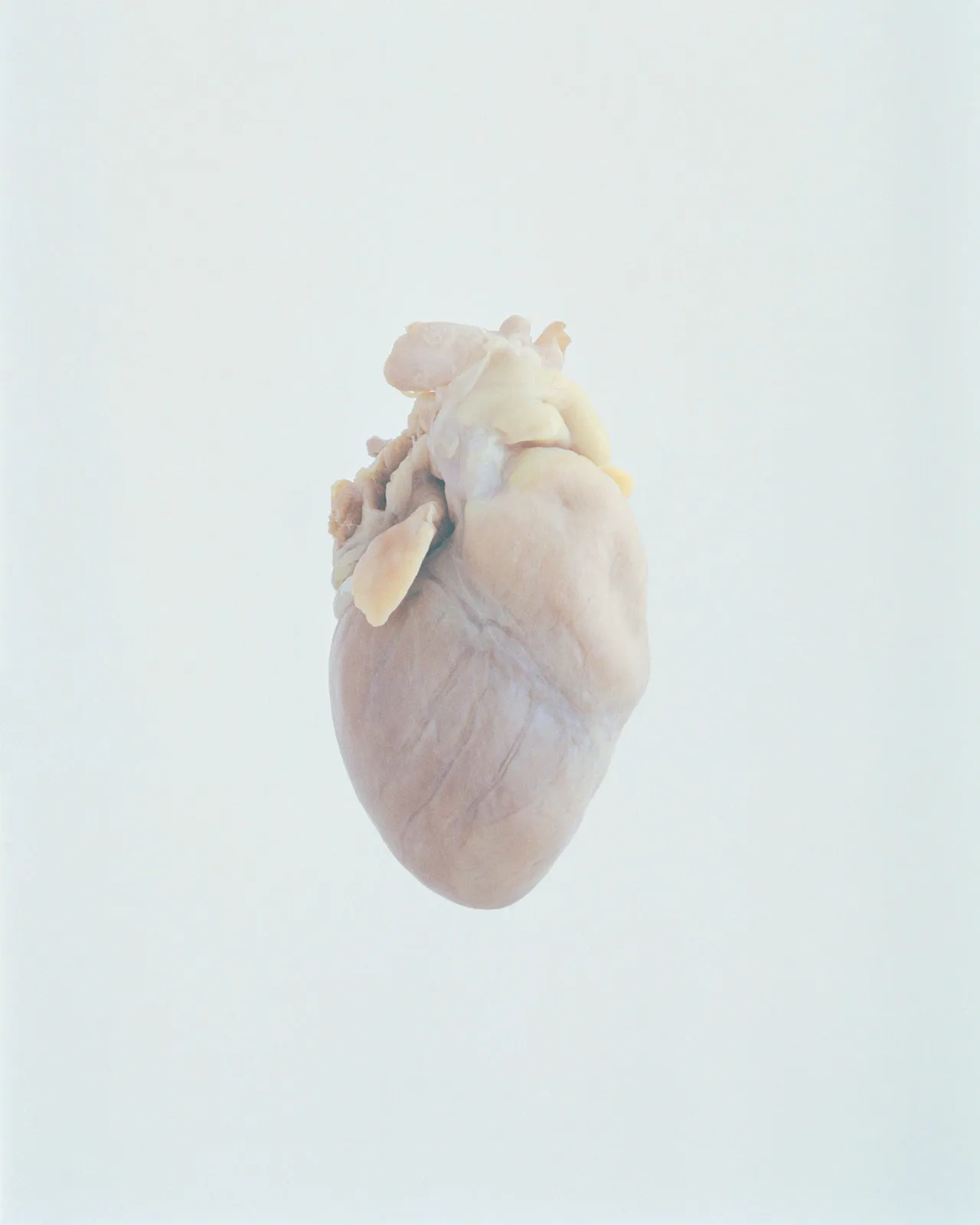 Ward Roberts Metalmagazine 25