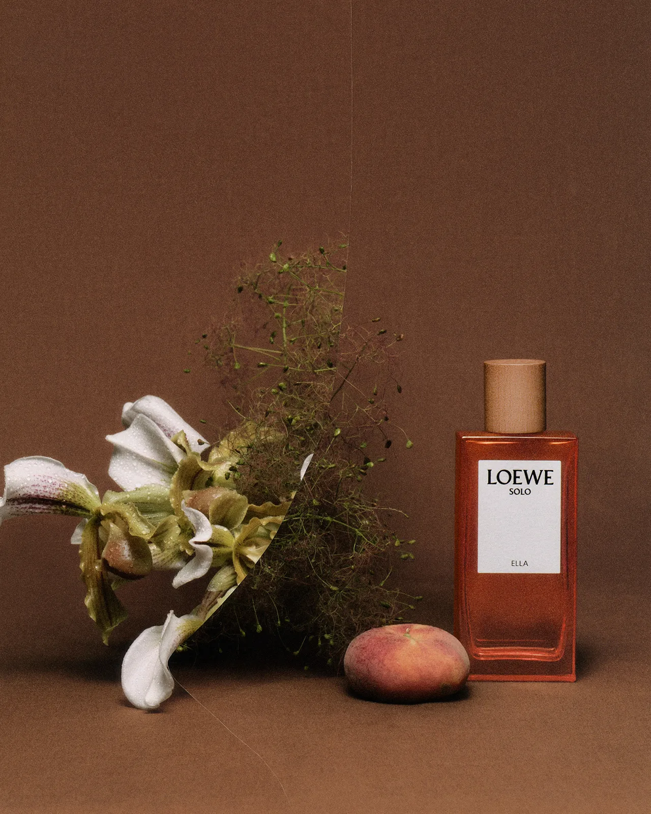Loewe Perfumes 7