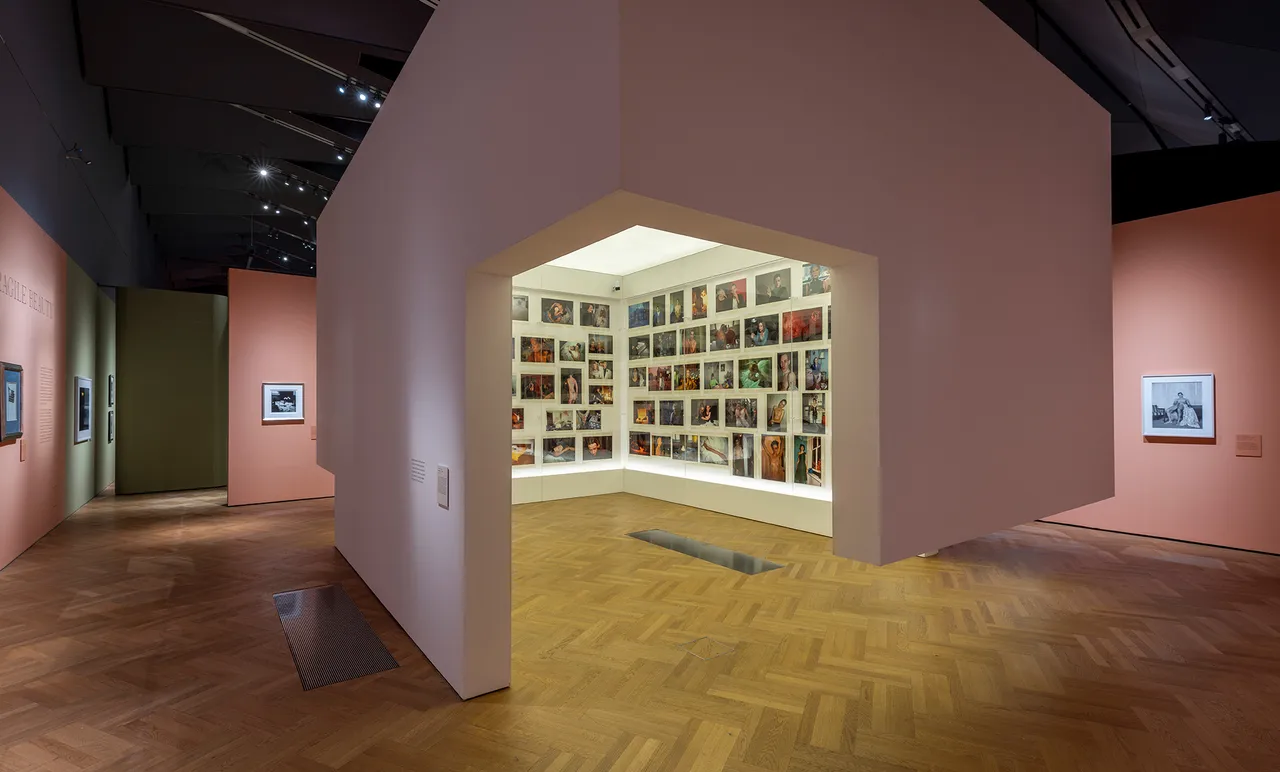 Installation-images-of-'Fragile-Beauty-at-VA-South-Kensington--Victoria-and-Albert-Museum-London-7