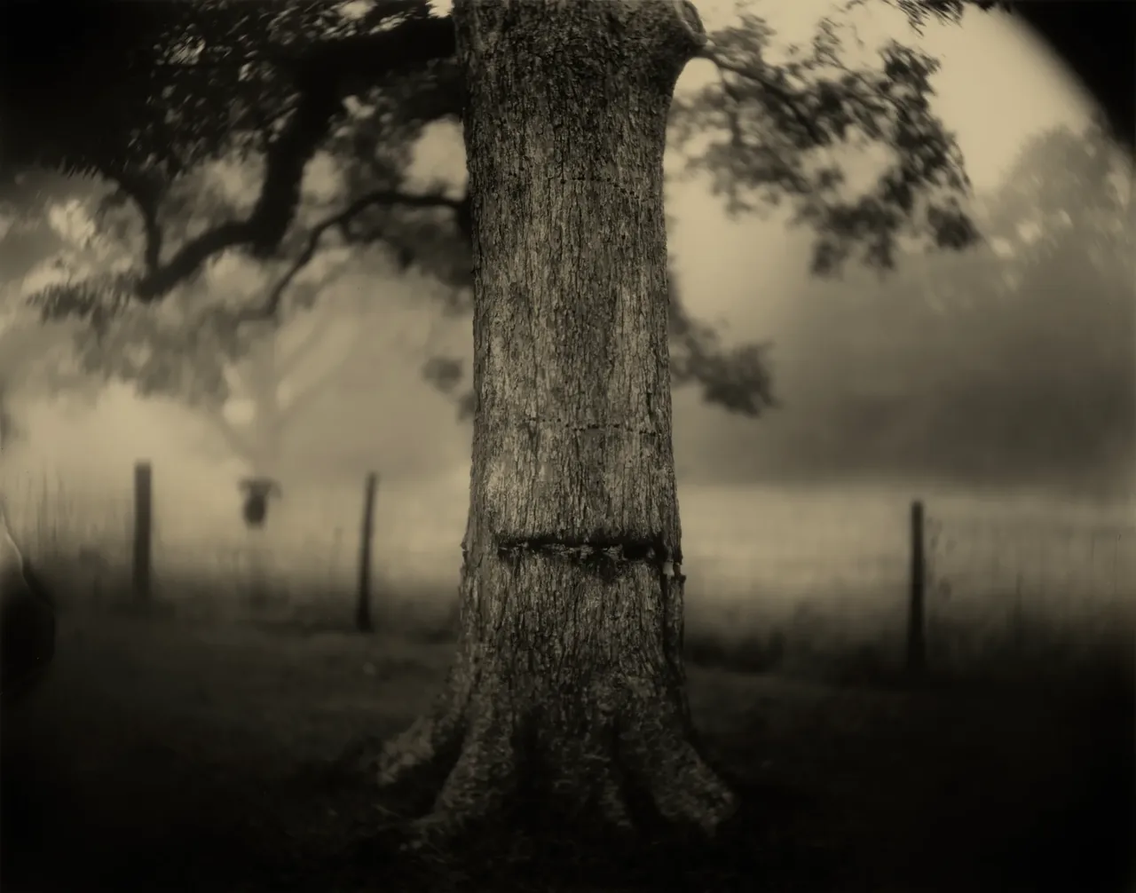 metal-sally-mann-04