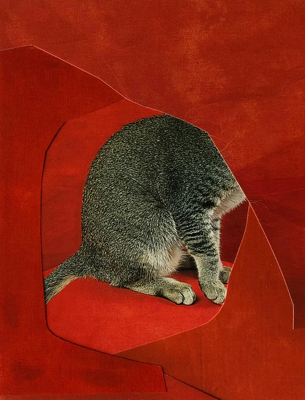 O T Redcat