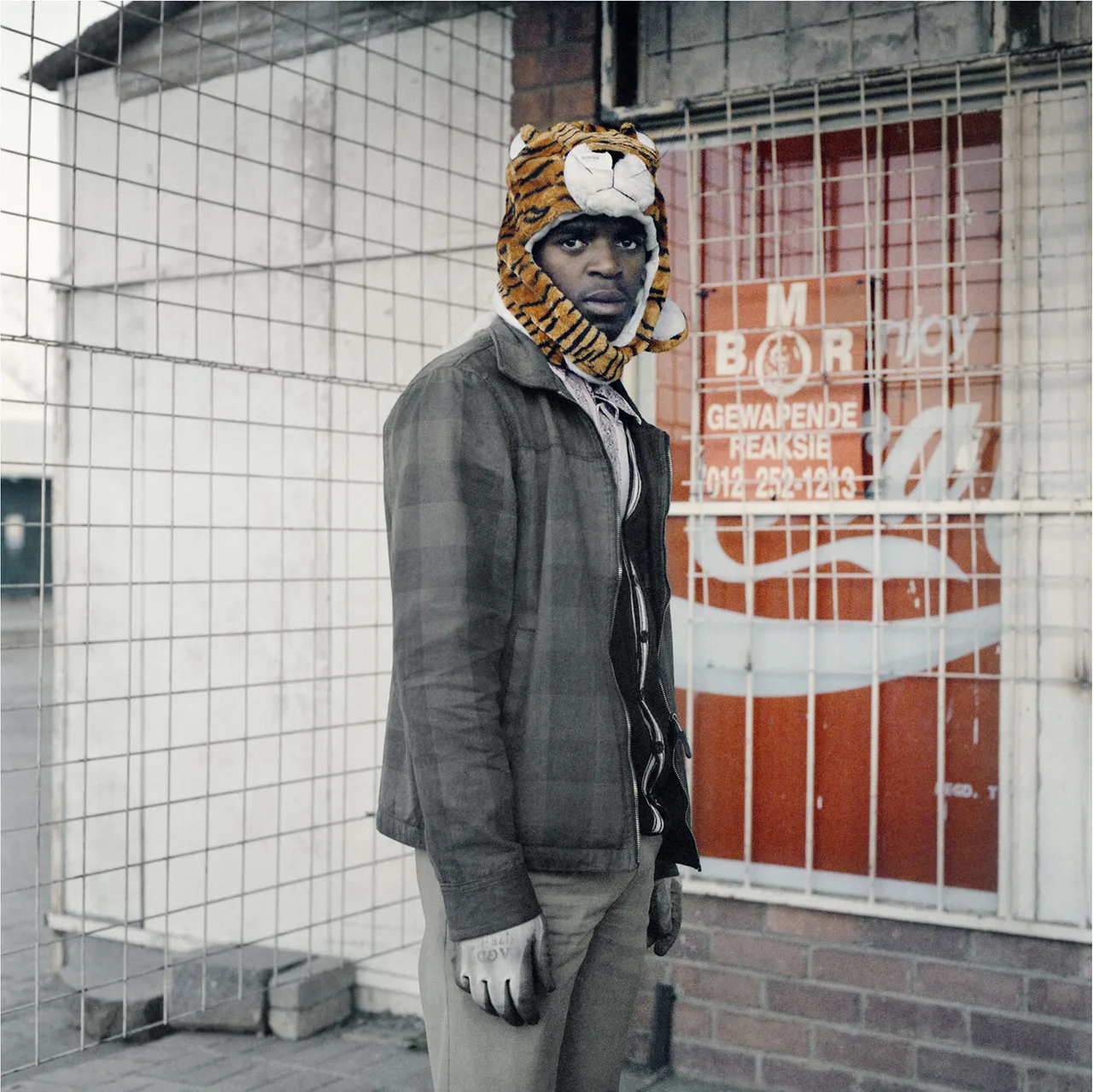 Thabiso Sekgala  Second Transition  Tiger  2012  Courtesy of the Artist and Goodman Gallery