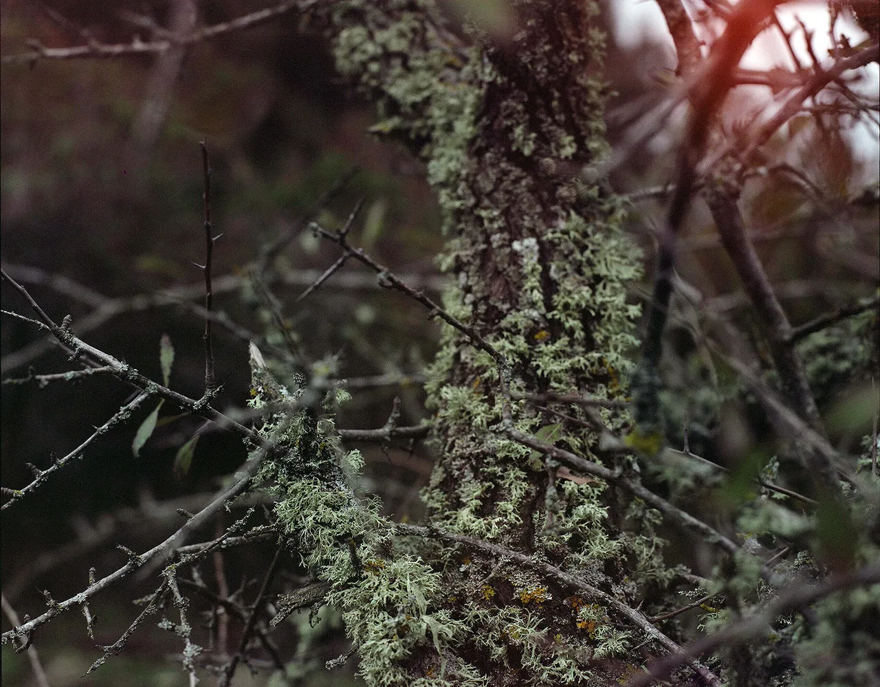 Objects in Nature