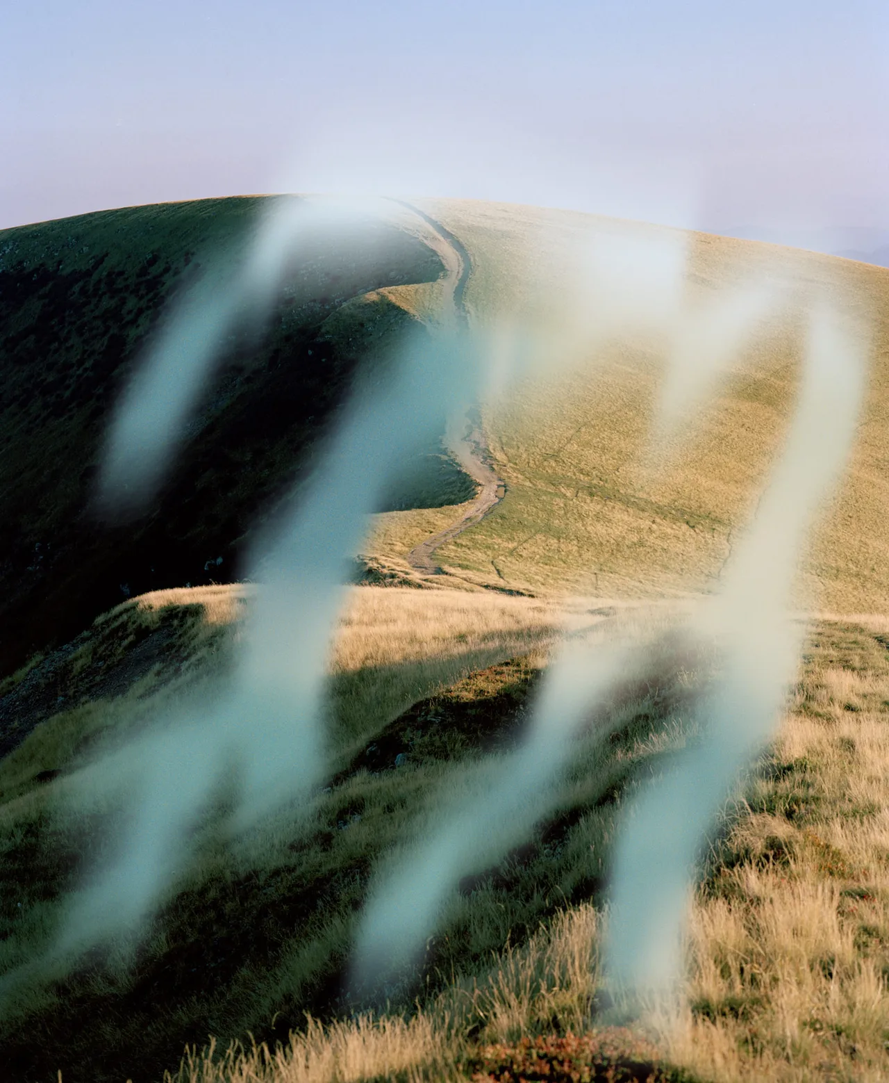 Synchrodogs Slightly Altered 29 Mountain Landscape