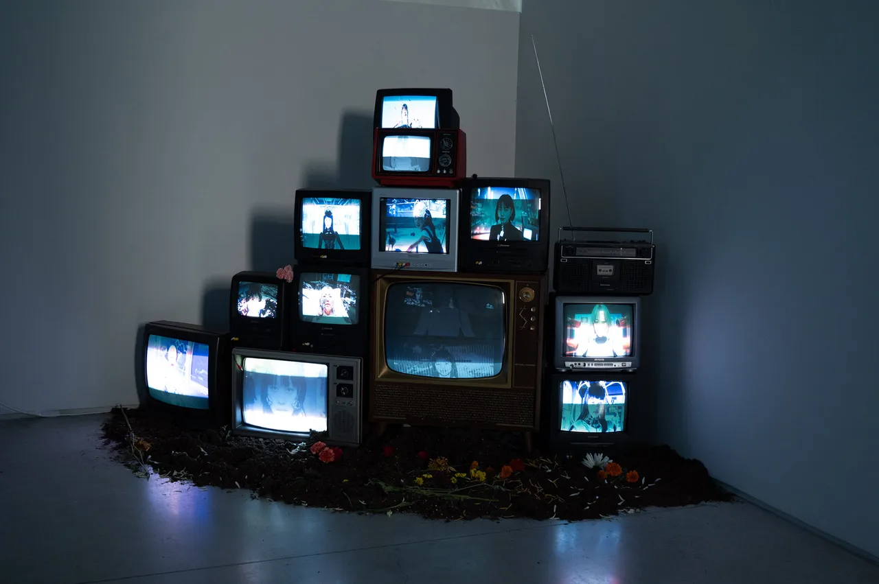 EGO-IN-THE-SHELL---Install---02.jpg
