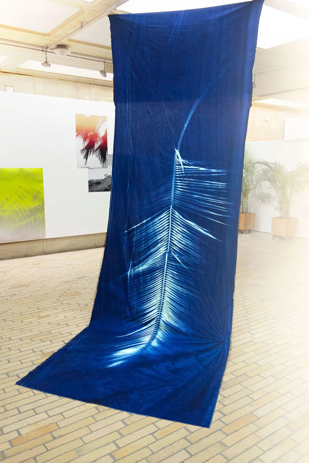 Elsa Leydier Plantanos Con Platino 10