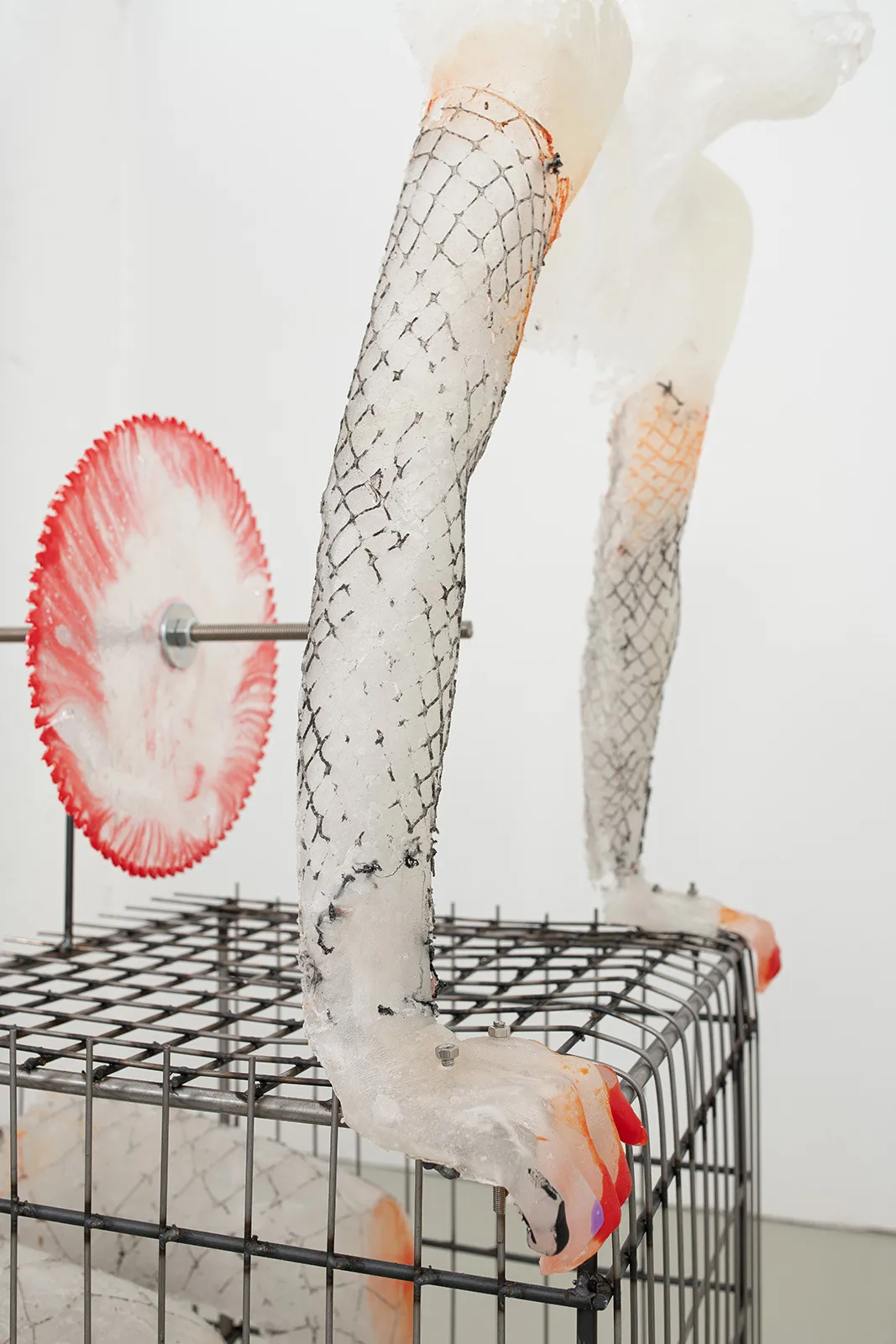 Rebecca Ackroyd