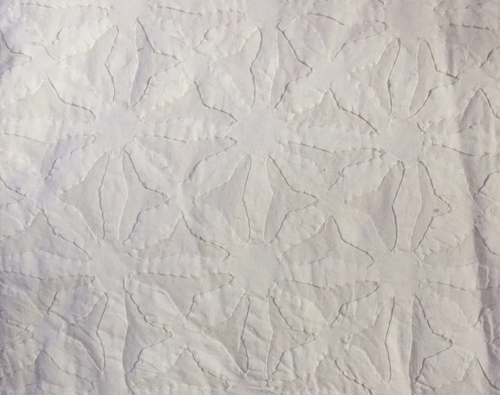 Cistanthe