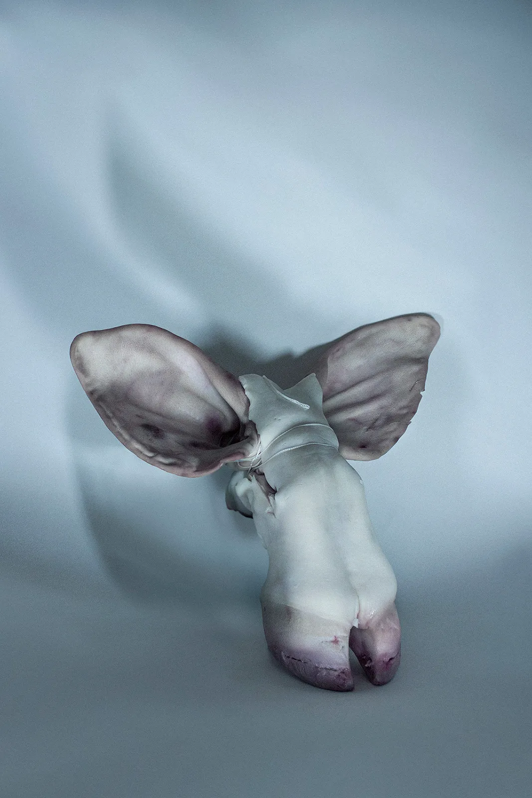Pablo Sola Metalmagazine 7