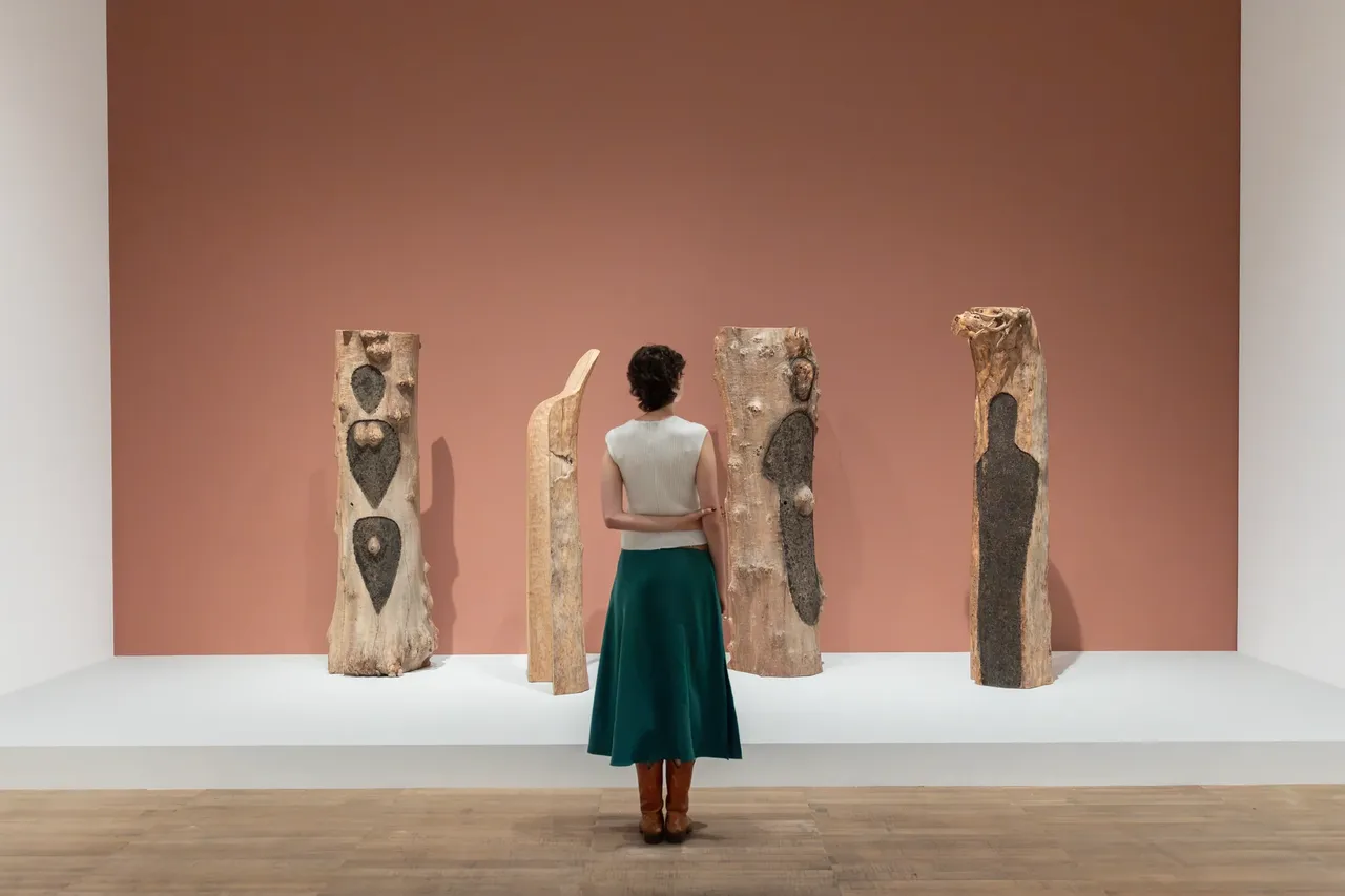 metal-ana-mendieta-edit-12